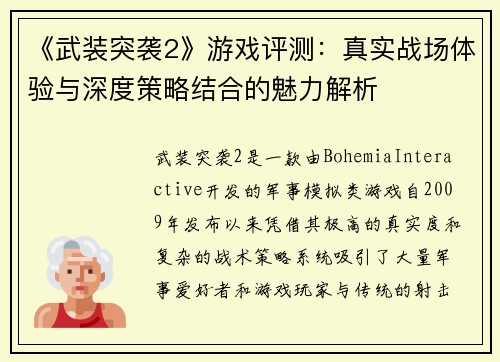 《武装突袭2》游戏评测：真实战场体验与深度策略结合的魅力解析